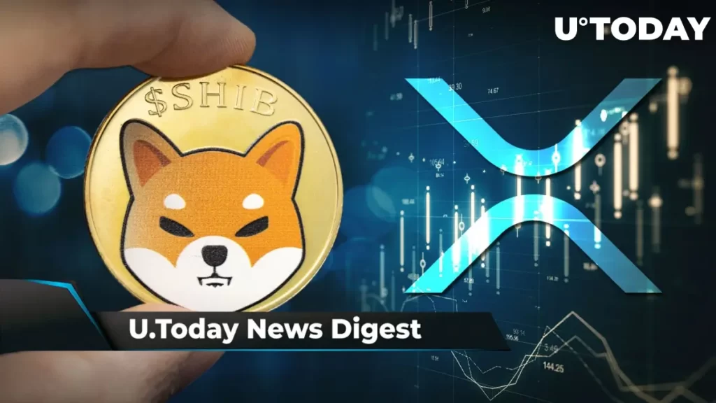 Shiba In The Dogecoin With a Crypto Future