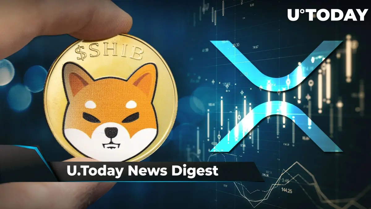Shiba Inu The Dogecoin With A Crypto Future