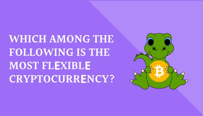 Which among the following is the most flеxiblе cryptocurrеncy